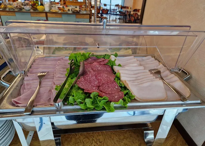 酒店 索乐布鲁酒店 里米尼