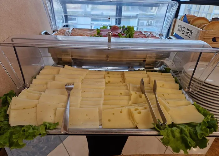 索乐布鲁酒店 里米尼